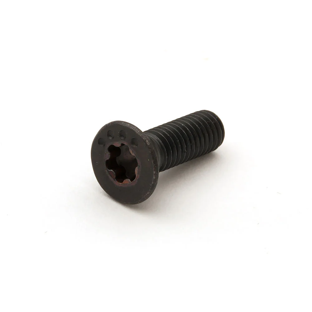 Hollow-Pro Hollowing Tool Replacement Torx Screw - Image 2